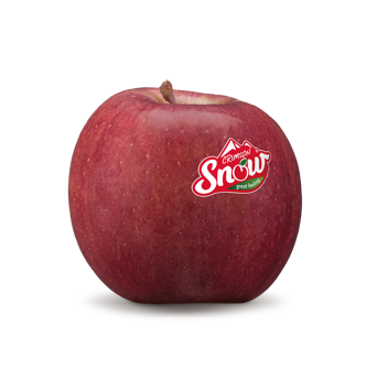 Mela fresca di varietà Crismonsnow