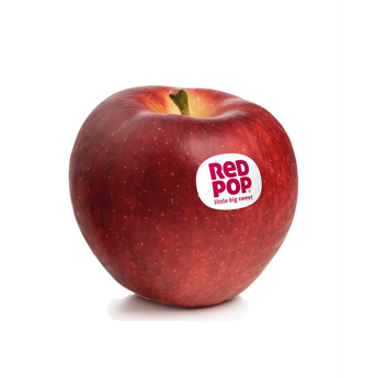 Mela fresca di varietà Redpop