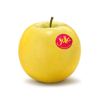 Mela fresca di varietà Yello