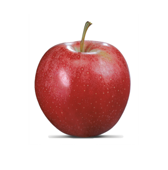 Mela fresca di varietà Royal Gala