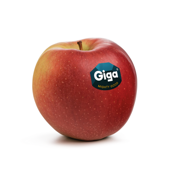 Mela fresca di varietà Giga