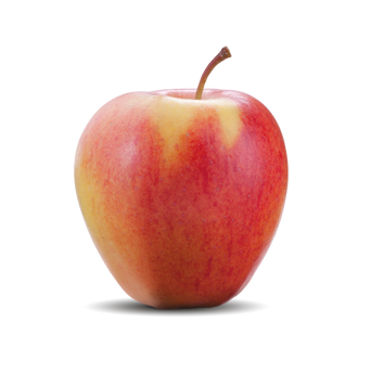 Mela fresca di varietà Pinova